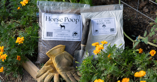 Horse Poop Compost Manure Live Oak Wood Ash Soil Amendment in the Garden