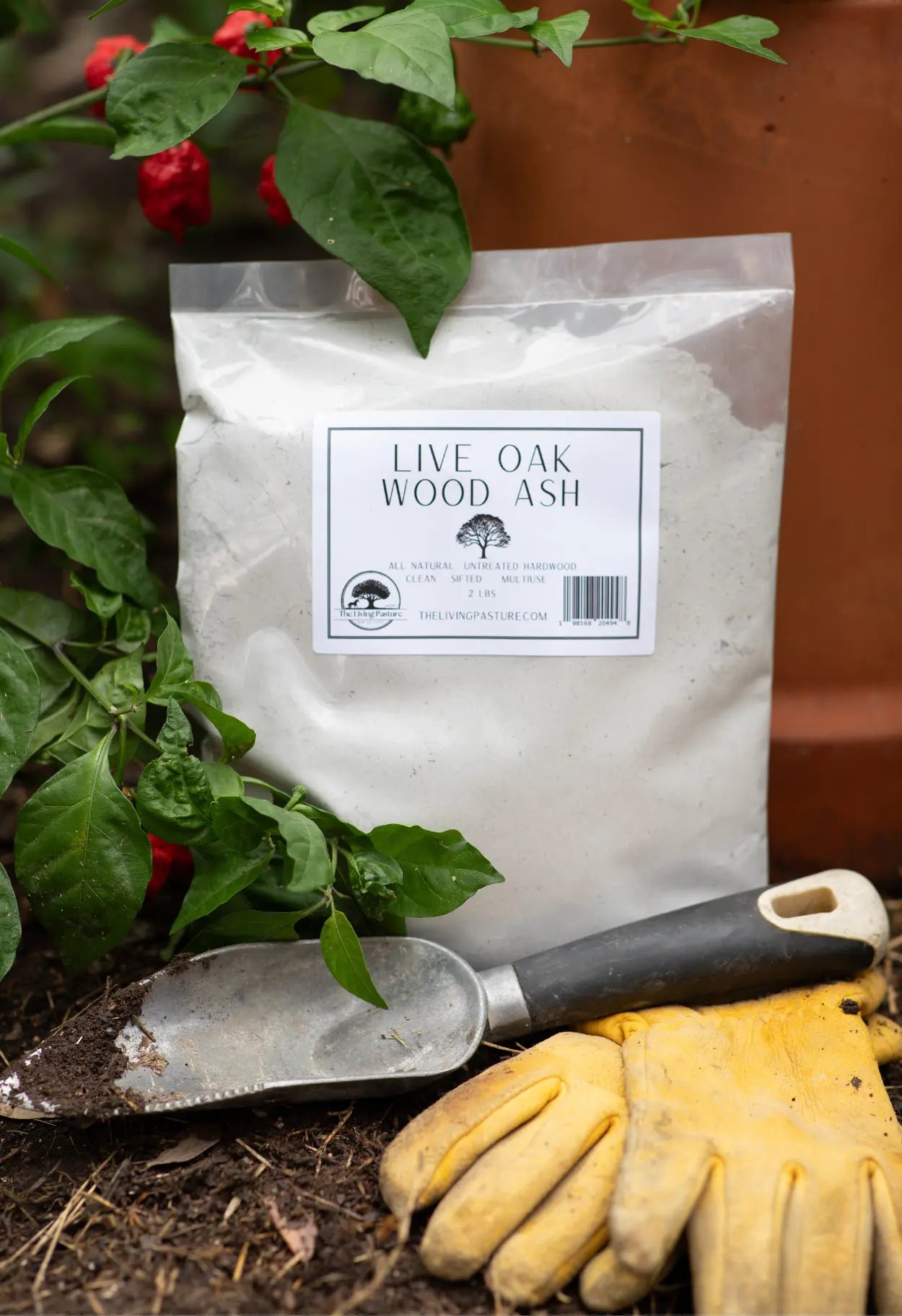 Live Oak Wood Ash - Natural Hardwood Ash - Soil Amendment for Gardens and Other Uses The Living Pasture