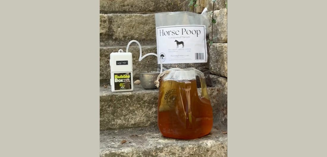 How to Brew Horse Poop Compost Tea for Healthier Soil The Living Pasture
