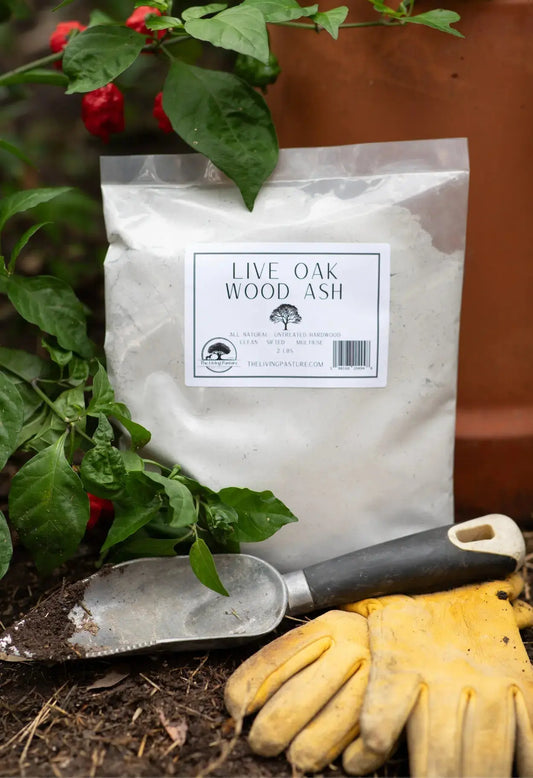How to Use Wood Ash in the Garden: A Complete Guide to Soil pH, Application Rates, and Plant Benefits The Living Pasture