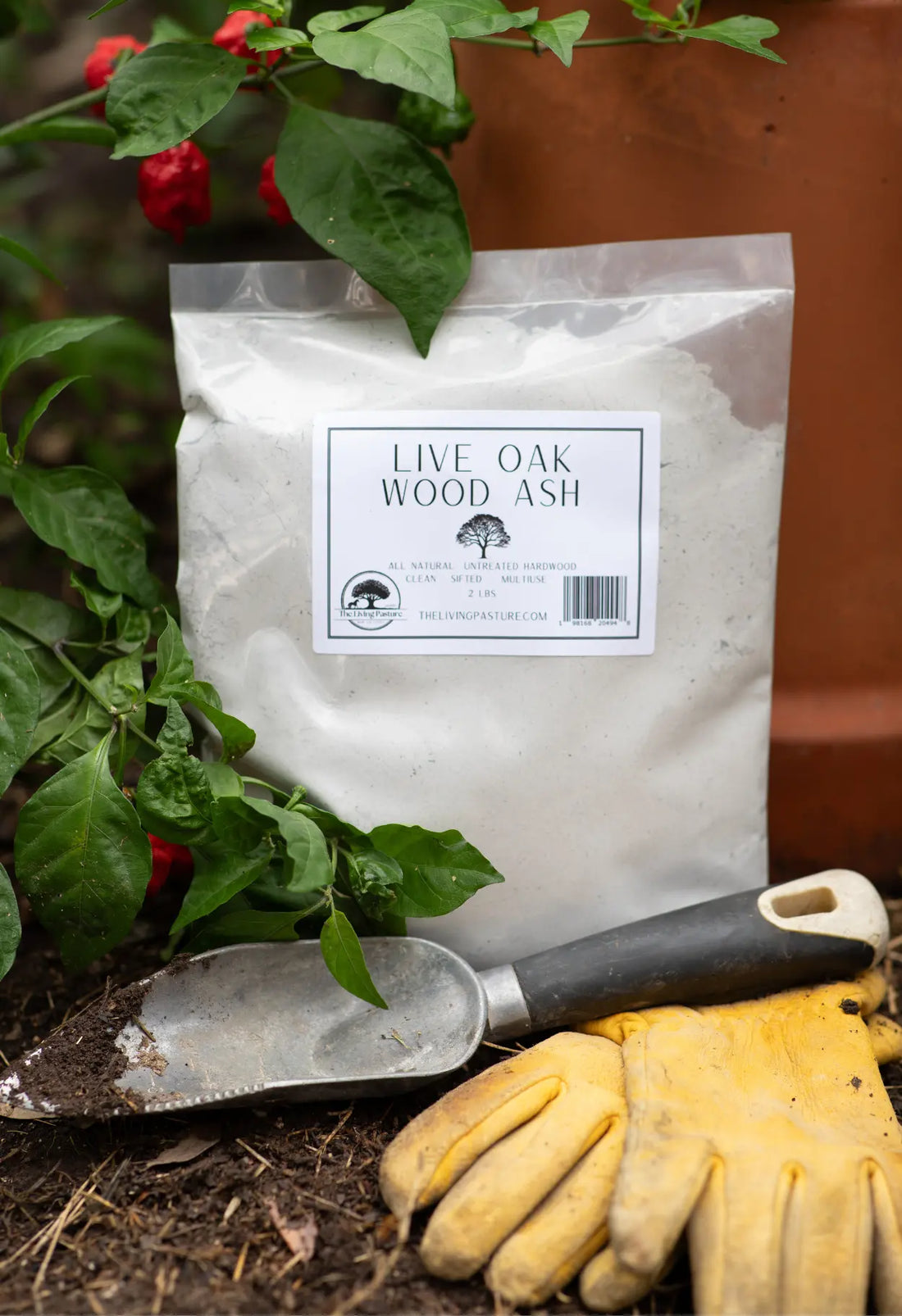 How to Use Wood Ash in the Garden: A Complete Guide to Soil pH, Application Rates, and Plant Benefits The Living Pasture
