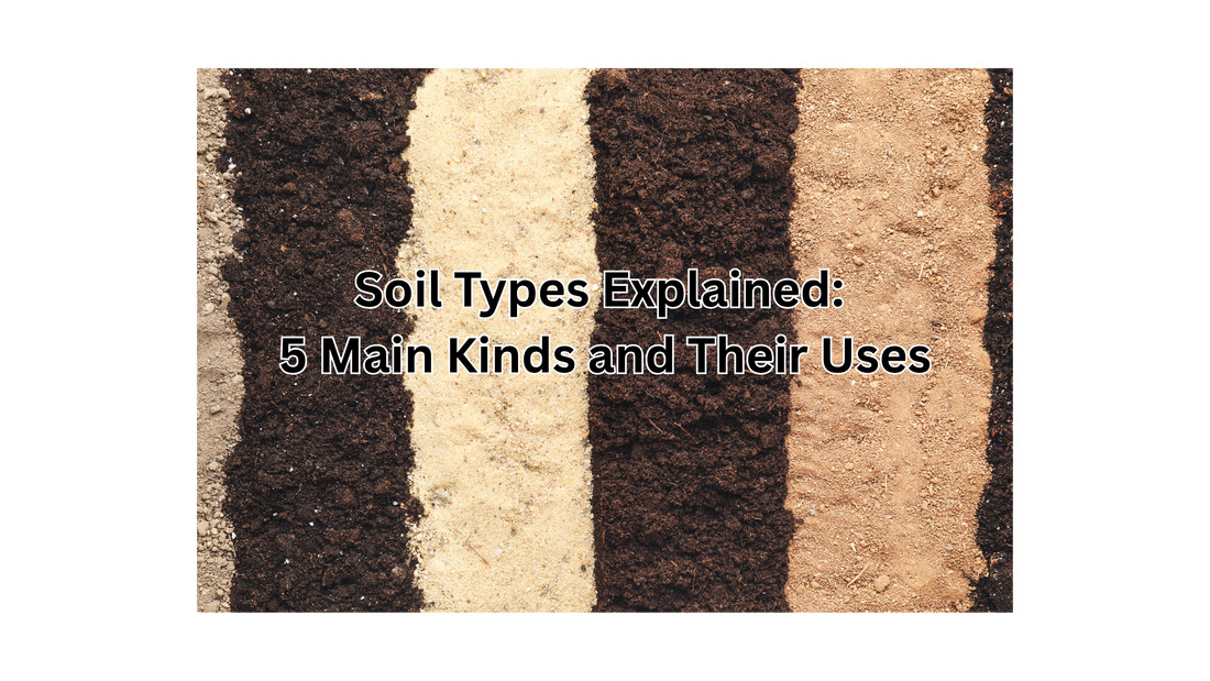 Soil Types Explained: 5 Main Kinds and Their Uses