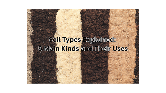 Soil Types Explained: 5 Main Kinds and Their Uses