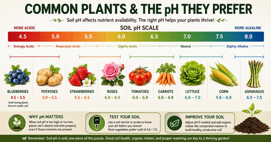 Understanding Soil pH: Why It Matters More Than Most Gardeners Realize The Living Pasture