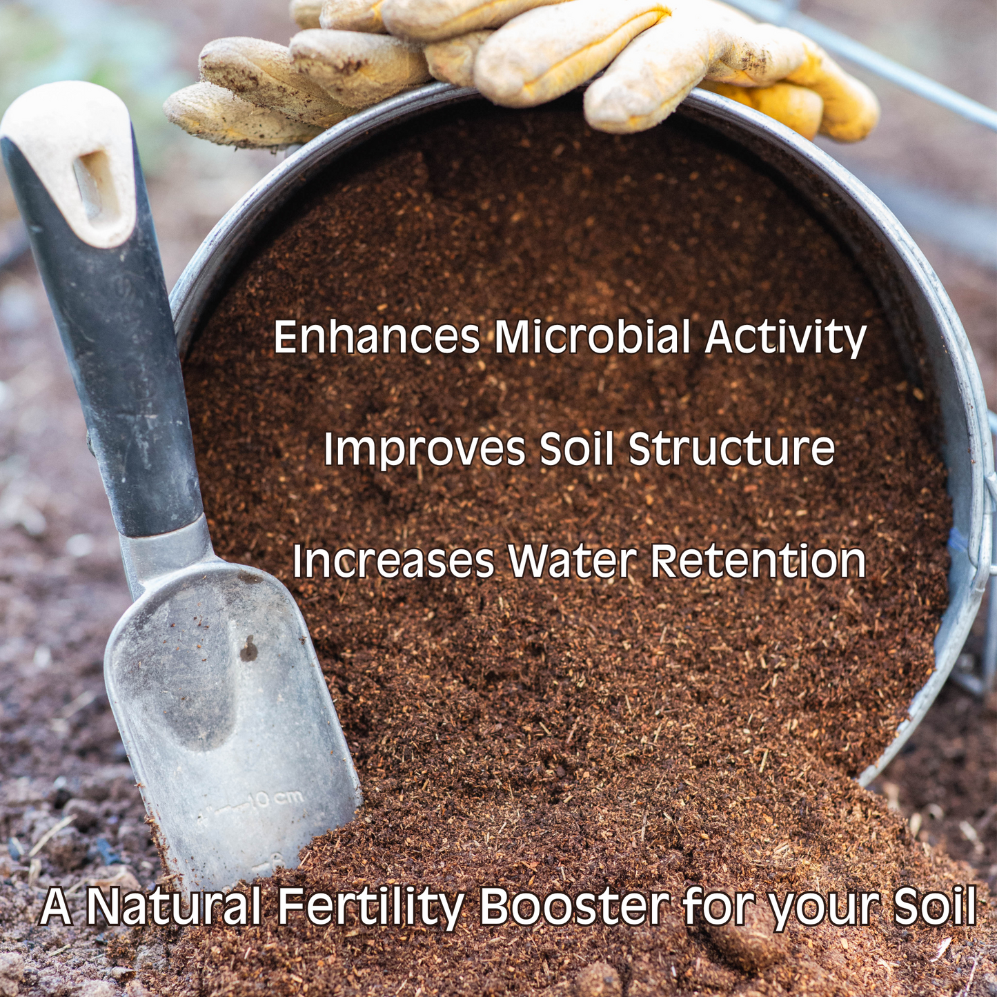 Horse Poop:  Composted Manure Soil Amendment
