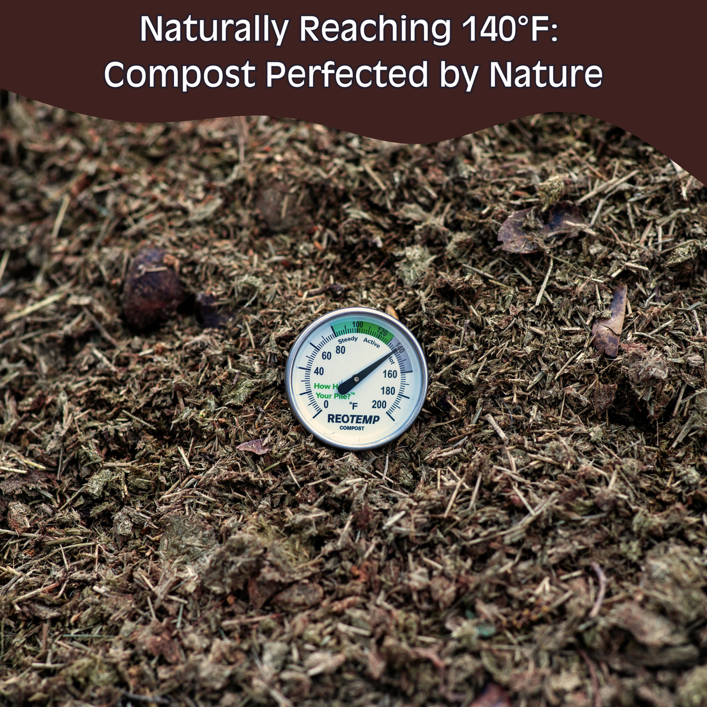 Horse Poop:  Composted Manure Soil Amendment